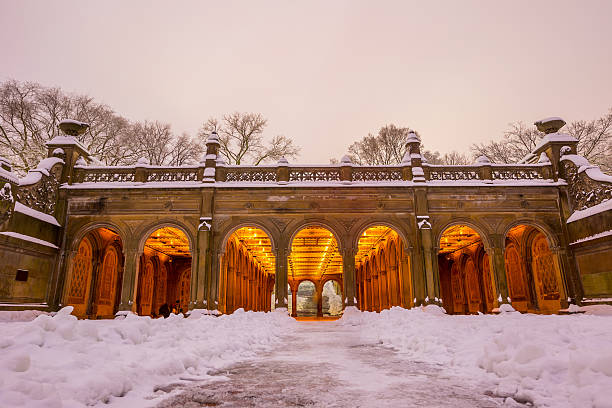 fonte bethesda no central park de nova york após a tempestade de neve - nemo museum imagens e fotografias de stock