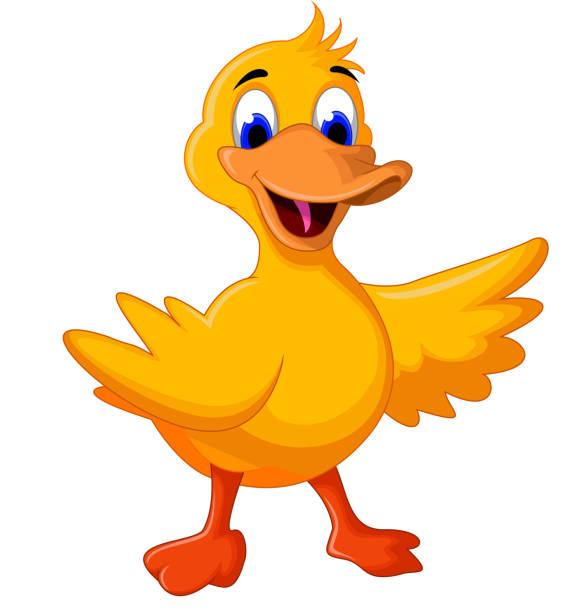 Funny Baby Duck Cartoon Stock Illustration - Download Image Now - Duck -  Bird, Duck Meat, Drawing - Activity - iStock