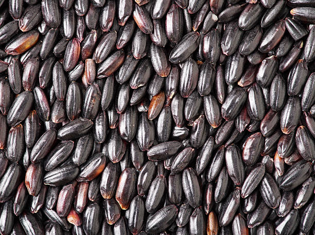 Black rice Black rice isolation background genmai stock pictures, royalty-free photos & images