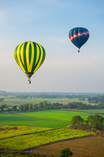 Colorful hot air balloons over green rice field