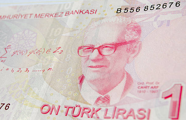 istock Mathematician Cahit Arf on Turkish banknote 537533392