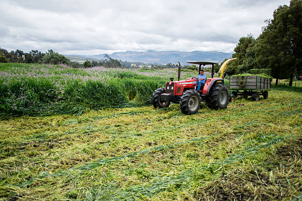 Farmer in a tractor plowing the earth at the farm to cultivate - agriculture concepts
