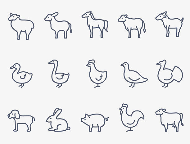 Farm animals Farm animals. Thin lines horse outlines silhouette stock illustrations