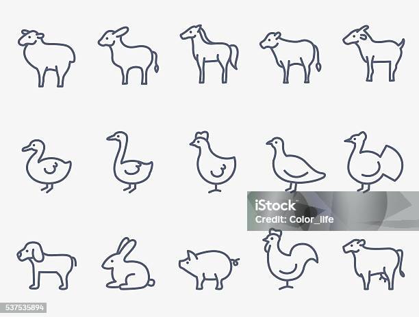 Farm Animals Stock Illustration - Download Image Now - Icon Symbol, Chicken - Bird, Duck - Bird