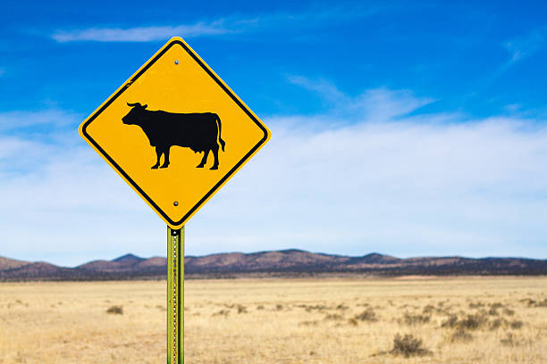 istock 