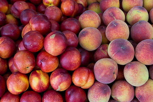 peaches und nektarinen für den verkauf im the market - nectarine stock-fotos und bilder