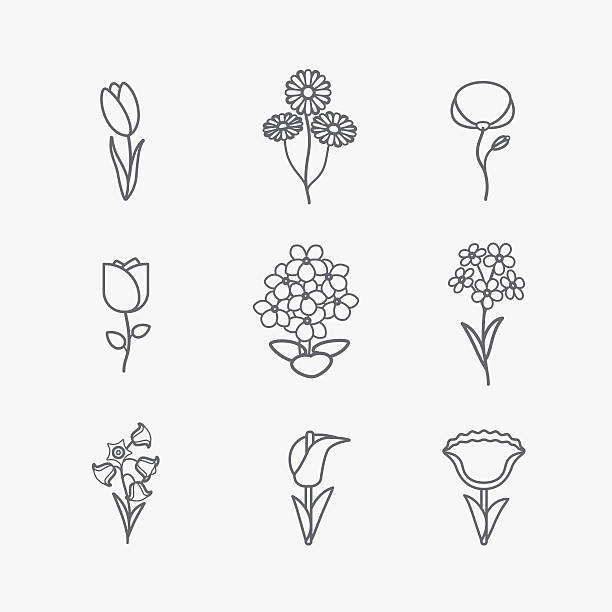 ilustraciones, imágenes clip art, dibujos animados e iconos de stock de iconos de flores - chamomile entertainment nature leaf