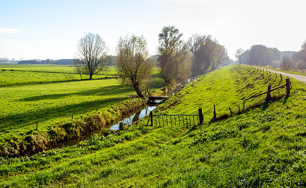 istock Typical Dutch polder landscape in the fall season 537542518