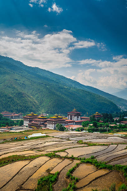 PADDY FIELD at Bhutan Paddy filed above the palace Thimphu,Bhutan bhutan stock pictures, royalty-free photos & images