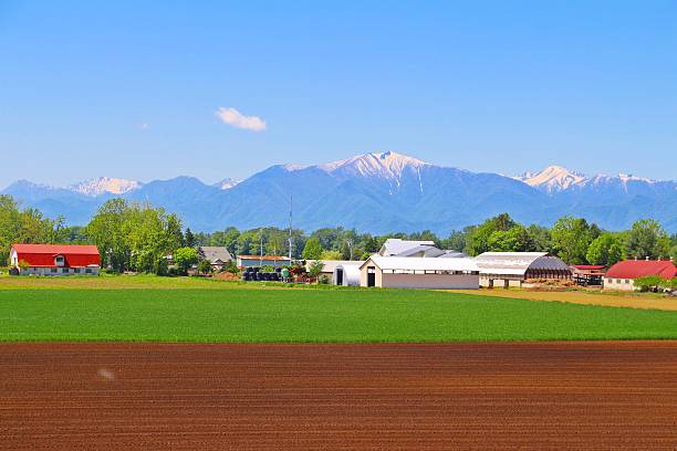 istock Cultivated land in Hokkaido, Japan 537545508