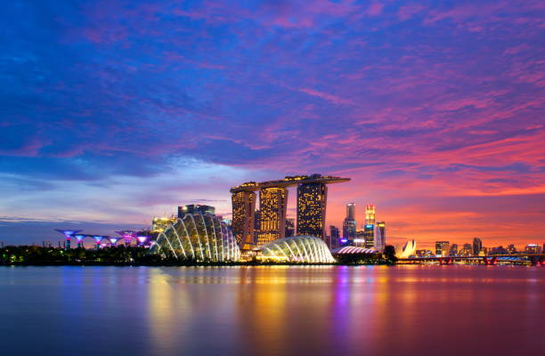 ville de singapour - gardens by the bay photos et images de collection