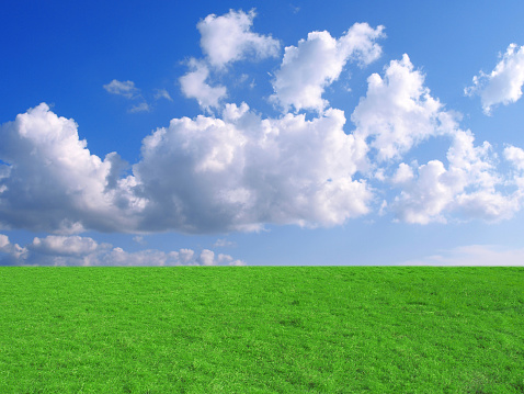 Green field and blue sky on a sunny day
