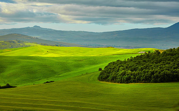 istock Beautiful view of green fields in Tuscany 537549168