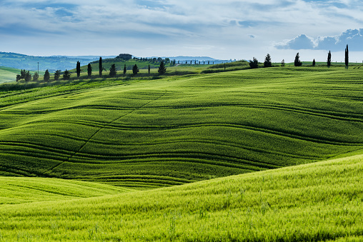 Typical landscape from Tuscany with green hills