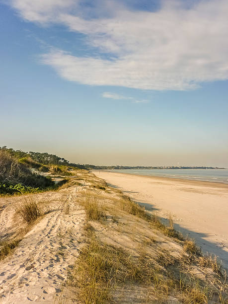 istock Landscape in the Coast of Uruguay 537549585