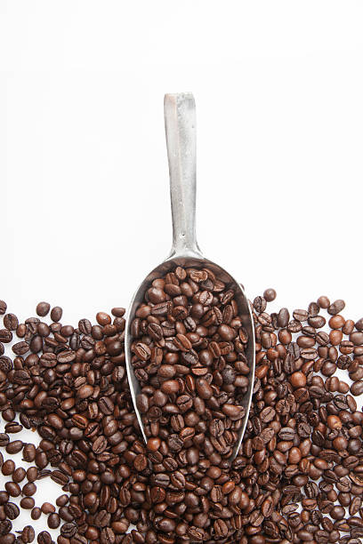 istock Roasted coffee beans with transfer scoop 537550487