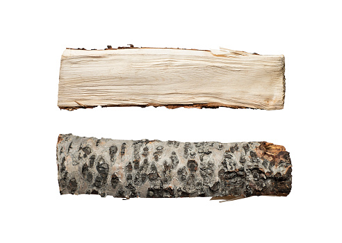 Chopped up firewood isolated in studio