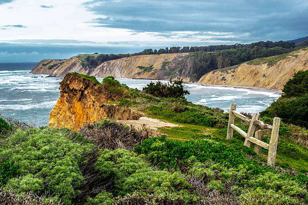 istock Bolinas, California 537551703