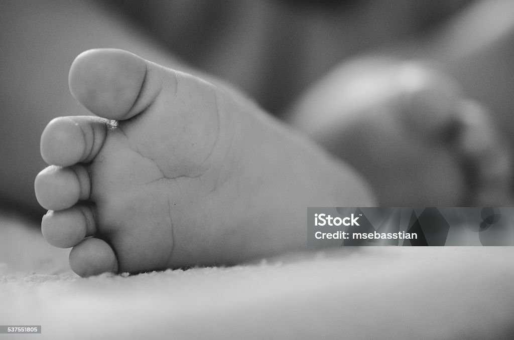 Newborn feet Newborn feet under a blanket Newborn Stock Photo