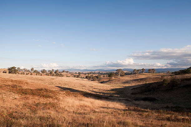 istock South east Australian landscape 537551816
