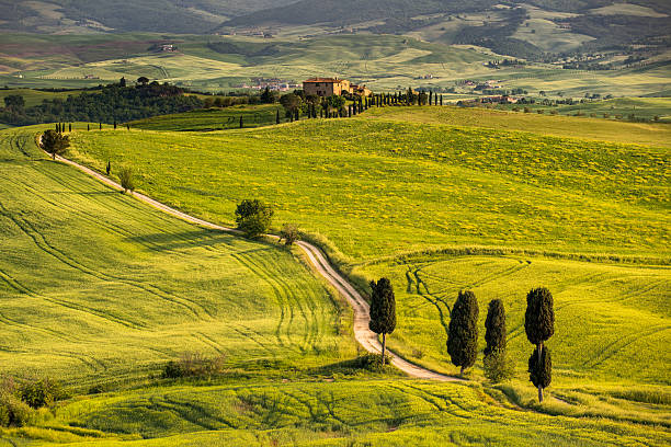istock Winding road in Tuscany 537553072