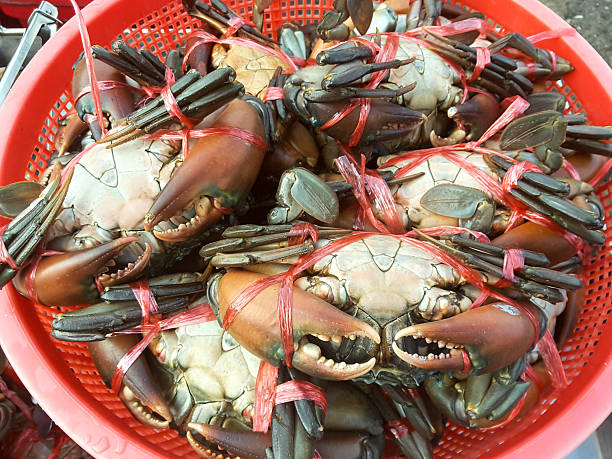 istock Crabs raw fresh in market, seafood 537553134