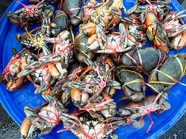 istock Crabs raw fresh in market, seafood 537553200