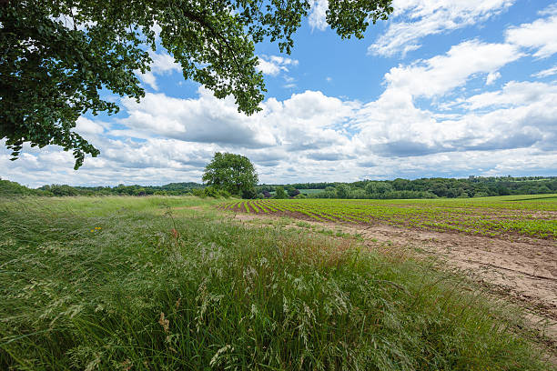 istock Blue sky with Clouds close to Duesseldorf 537553218