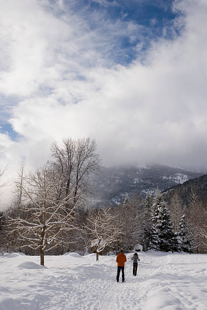 istock Mature couple skiing 537554369