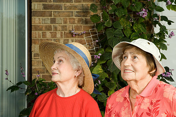 istock Two senior women arriving at a house 537582063