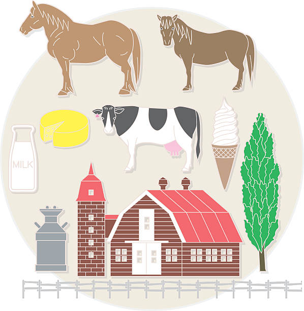 farm i nabiał i bydło - surowe mleko stock illustrations