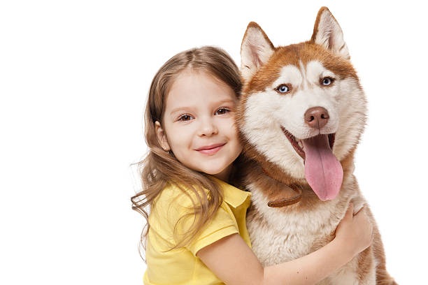 Girl with a redhead husky