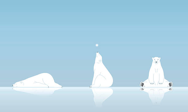 niedźwiedź polarny i śnieg - polar bear arctic animal snow stock illustrations