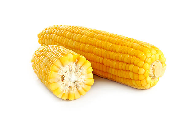 istock ears of corn on white background 537583965