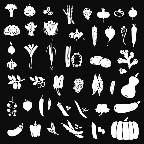 illustrations, cliparts, dessins animés et icônes de légumes de silhouettes blanches sur fond noir - artichoke celery radish kohlrabi