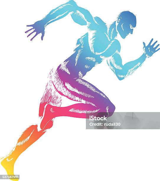 Sprinter Stock Illustration - Download Image Now - Muscular Build, Anatomy, The Human Body