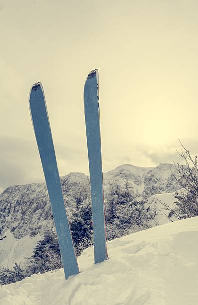 istock Pair of skis in snow 537594673
