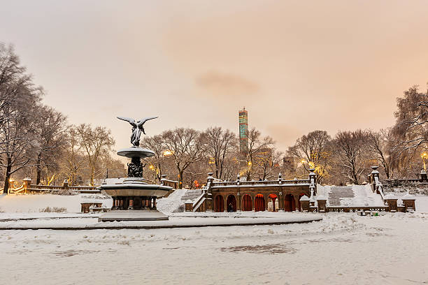 fuente bethesda en central park ciudad de nueva york, después de una tormenta de nieve - nemo museum fotografías e imágenes de stock