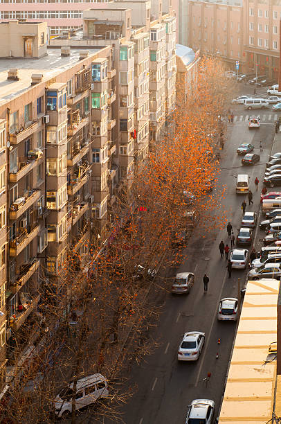 istock Mornign scene at downtown of the Dalian 537596027