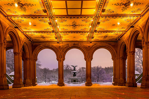 fuente bethesda en central park ciudad de nueva york, después de una tormenta de nieve - nemo museum fotografías e imágenes de stock