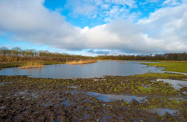 istock Frozen lake in nature in winter 537598549