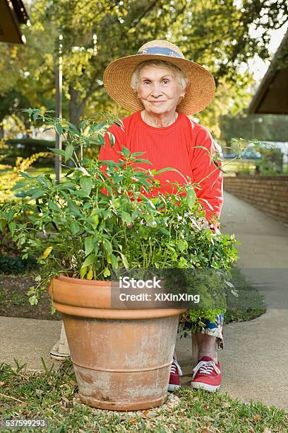Senior Woman Gardening Stock Photo - Download Image Now - 2015, Adult, Adults Only