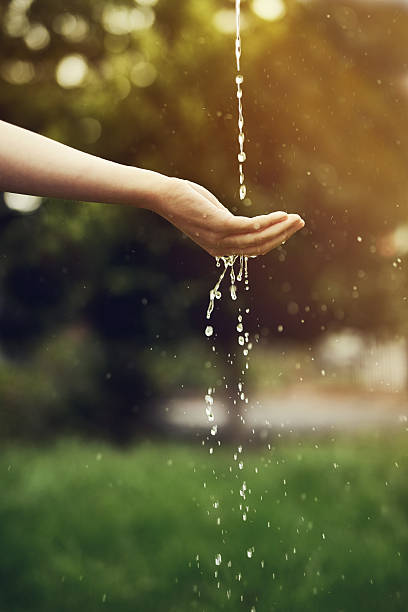 istock Water is the driving force of all nature 537599578