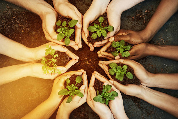 istock Green is a way of life 537599600