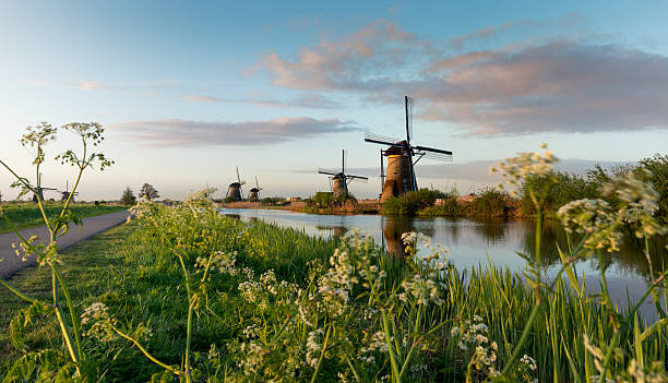 istock Beautiful dutch windmills landscape at sunrise 537600209