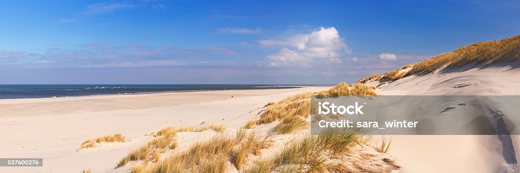 Endless beach on the island of Terschelling in The Netherlands Wide beaches and sand dunes on the Dutch island of Terschelling on a sunny day. Beach Stock Photo