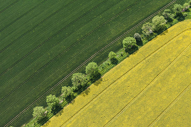 istock aerial view of the  harvest fields 537600760