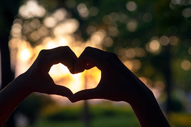 istock Summer love, hands in the form of heart 537601442