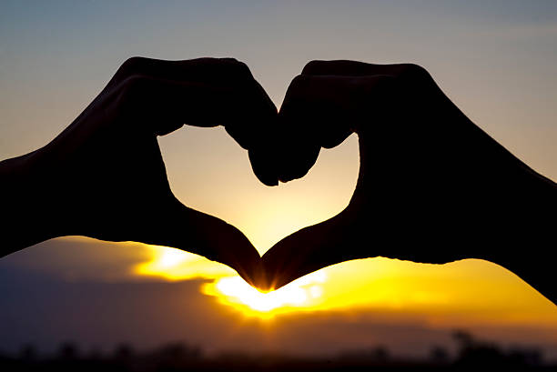 istock Heart made with hands, summer love 537601522