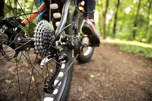 pneu traseiro na bicicleta de gordura - mountain cycling bicycle tire imagens e fotografias de stock